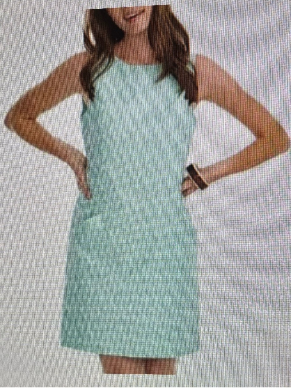 Southern Tide Paislee Ikat Jacquard Shift Mint Dress